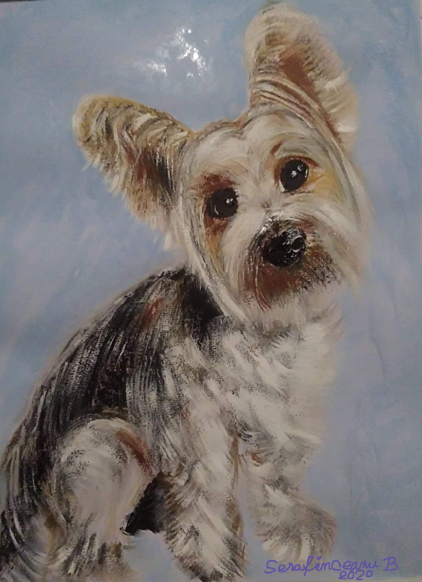 BORIS The Yorky