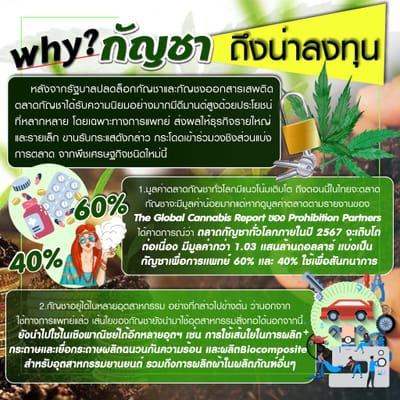 เพิ่มรายได้ของคุณ