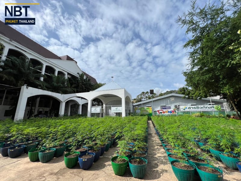 เยี่ยมชมฟาร์มจากสถานี NBT