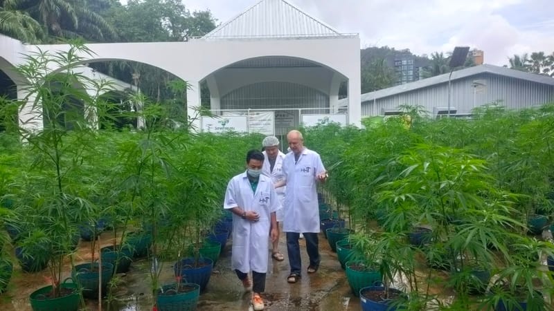 เยี่ยมชมฟาร์มจากนักท่องเที่ยวชาวไต้หวัน