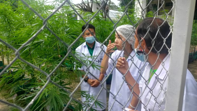 เยี่ยมชมฟาร์มจากนักท่องเที่ยวชาวไต้หวัน