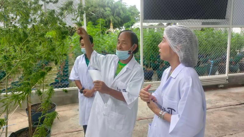 เยี่ยมชมฟาร์มจากนักท่องเที่ยวชาวไต้หวัน