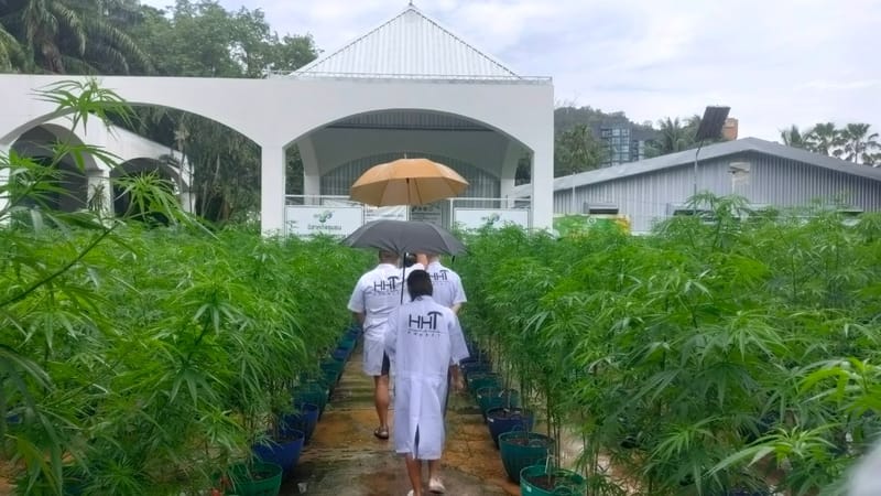 เยี่ยมชมฟาร์มจากนักท่องเที่ยวชาวไต้หวัน