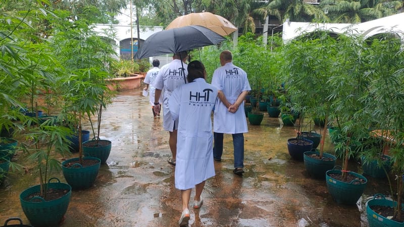 เยี่ยมชมฟาร์มจากนักท่องเที่ยวชาวไต้หวัน