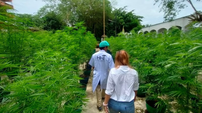 เยี่ยมชมฟาร์มจากนักท่องเที่ยวชาวญี่ปุ่น