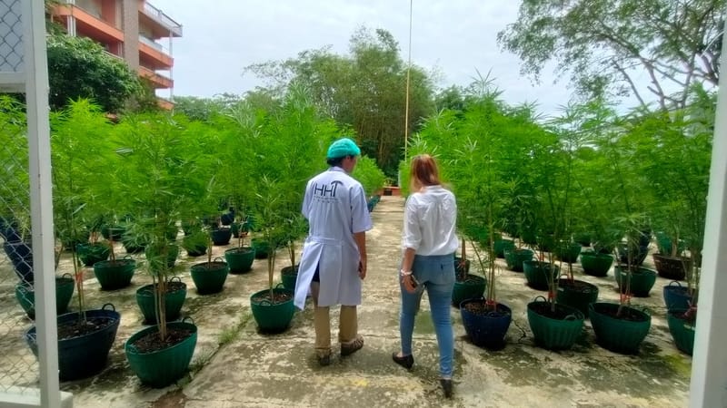 เยี่ยมชมฟาร์มจากนักท่องเที่ยวชาวญี่ปุ่น