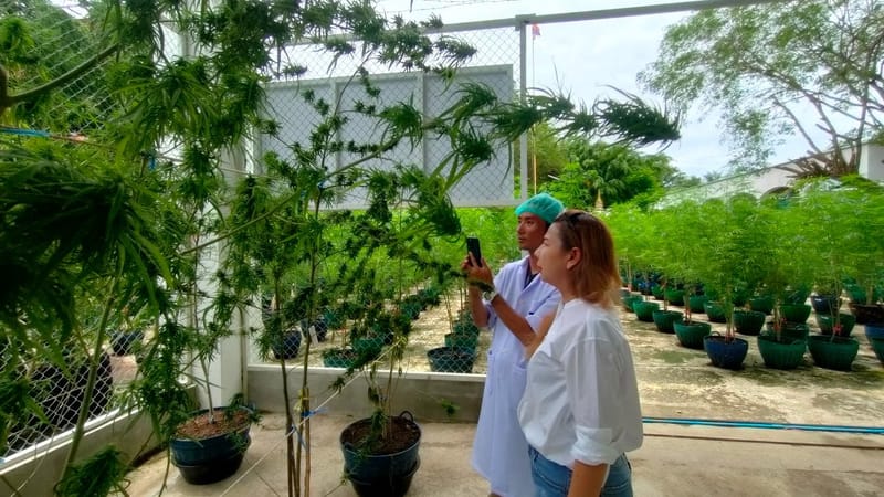 เยี่ยมชมฟาร์มจากนักท่องเที่ยวชาวญี่ปุ่น