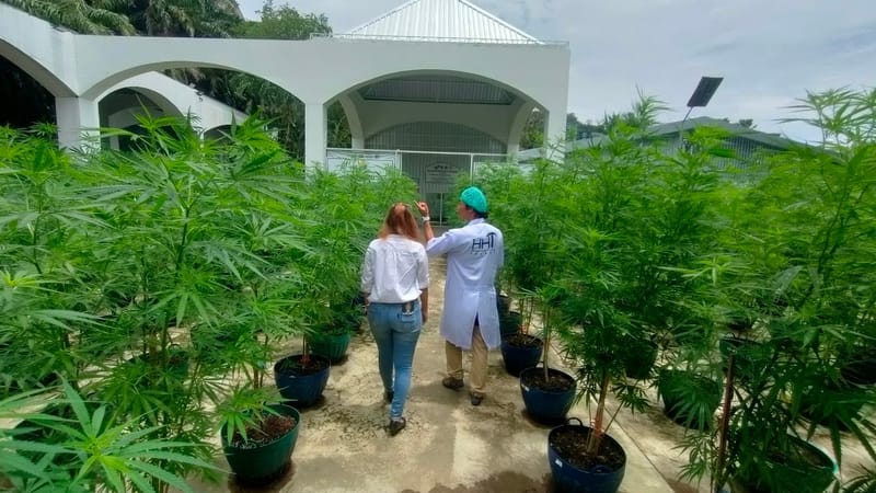 เยี่ยมชมฟาร์มจากนักท่องเที่ยวชาวญี่ปุ่น