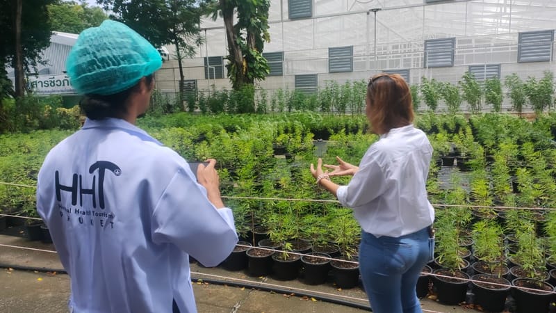 เยี่ยมชมฟาร์มจากนักท่องเที่ยวชาวญี่ปุ่น