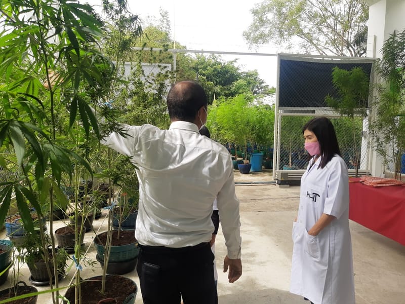 เยี่ยมชมฟาร์ม จากนักท่องเที่ยว