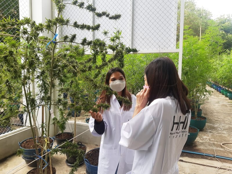 เยี่ยมชมฟาร์ม จากนักท่องเที่ยว