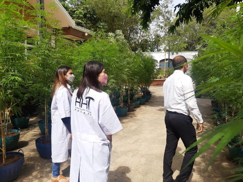 เยี่ยมชมฟาร์ม จากนักท่องเที่ยว