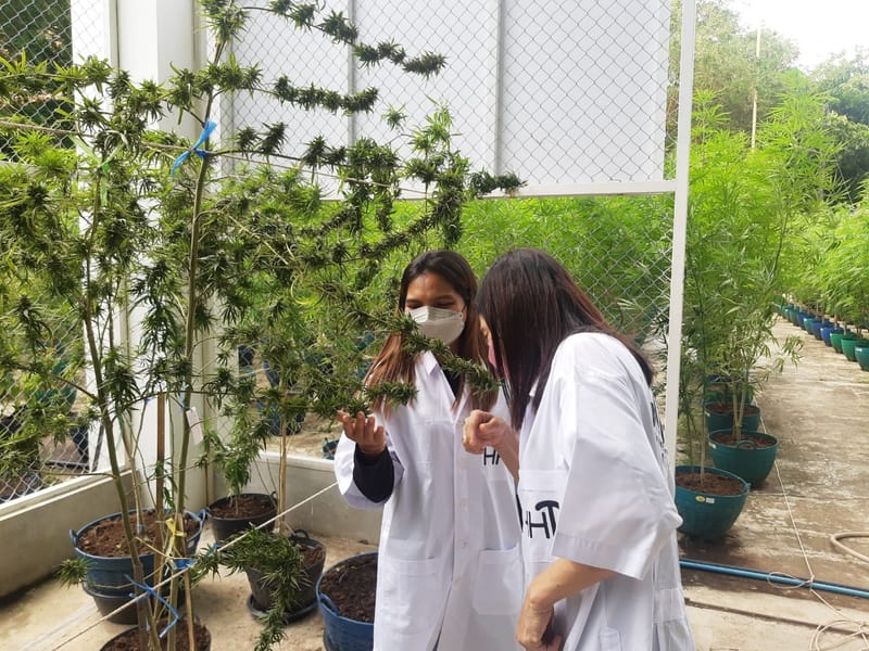 เยี่ยมชมฟาร์ม จากนักท่องเที่ยว