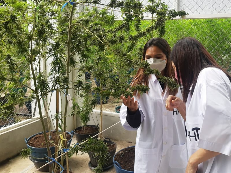 เยี่ยมชมฟาร์ม จากนักท่องเที่ยว