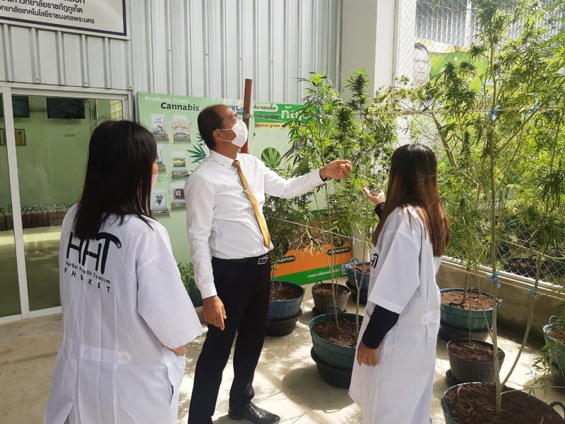 เยี่ยมชมฟาร์ม จากนักท่องเที่ยว