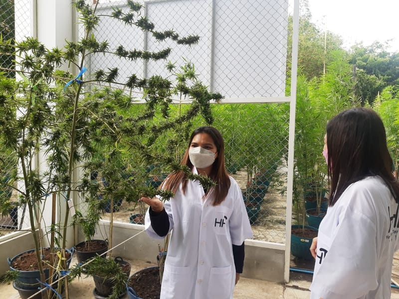 เยี่ยมชมฟาร์ม จากนักท่องเที่ยว