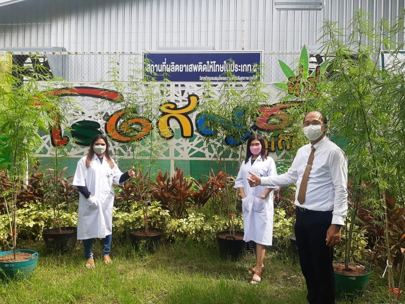 เยี่ยมชมฟาร์ม จากนักท่องเที่ยว