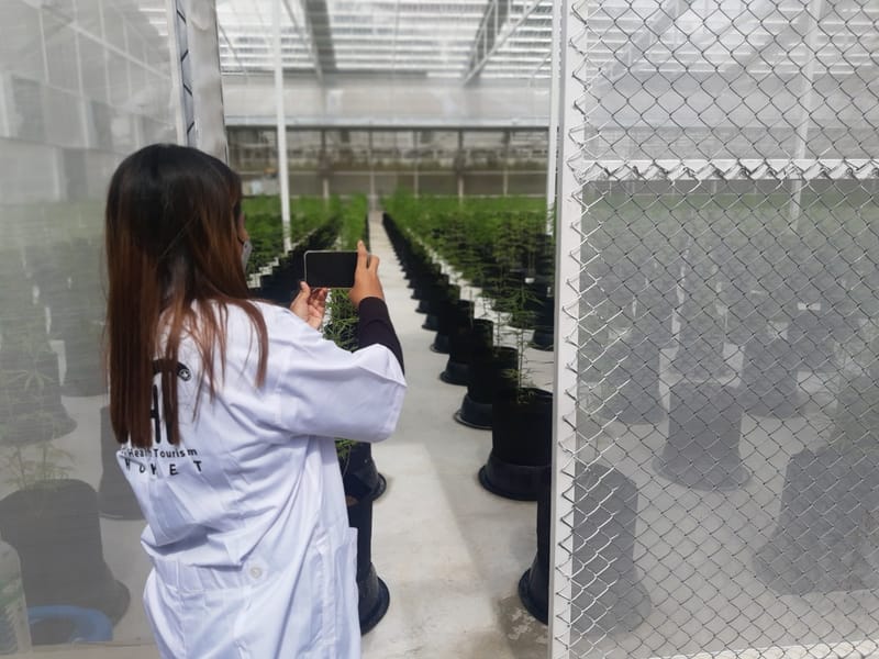 เยี่ยมชมฟาร์ม จากนักท่องเที่ยว