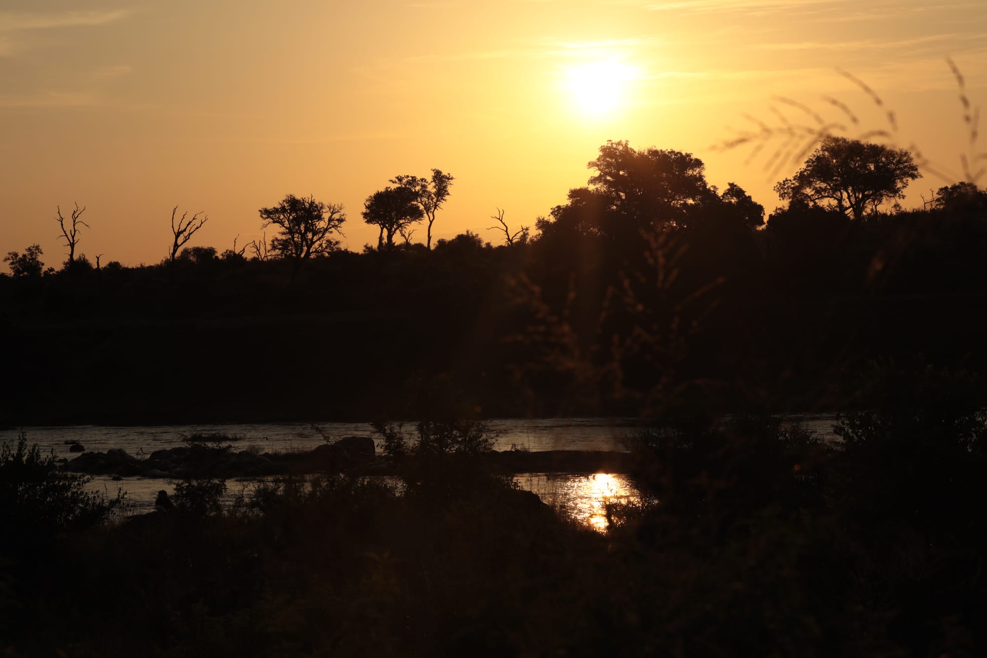 Crocodile river , Komati Poort / Kruger park