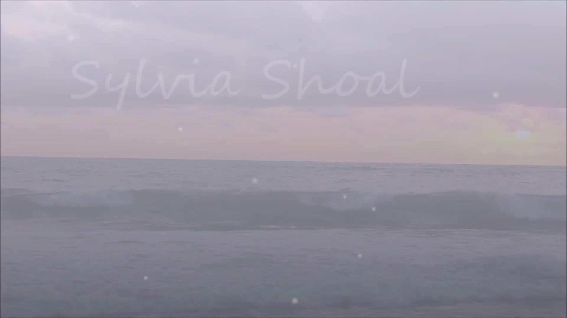 Sylvia Shoal island resort.