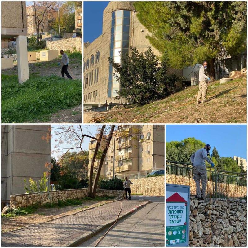 במבט קדימה: חודש וחצי של עבודה מאומצת