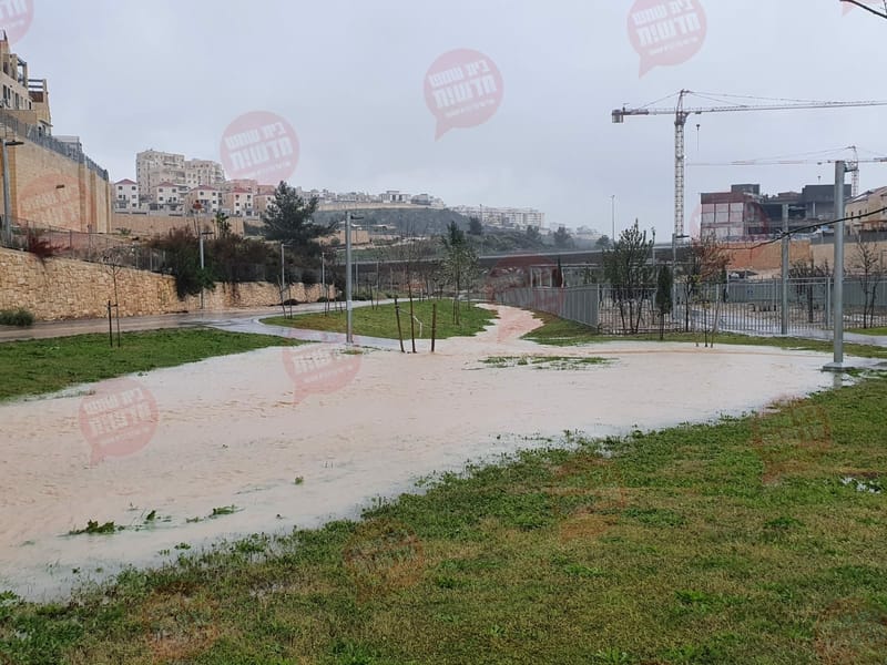 כשהפארק הענק הופך לנחל רחב וזורם