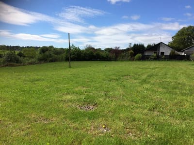 Field cut and ready to start