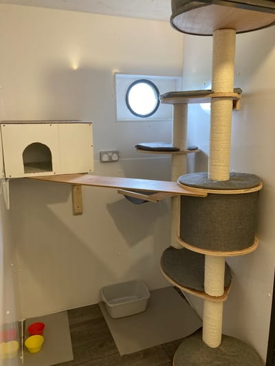 Powmill Cattery image
