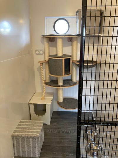 Powmill Cattery image