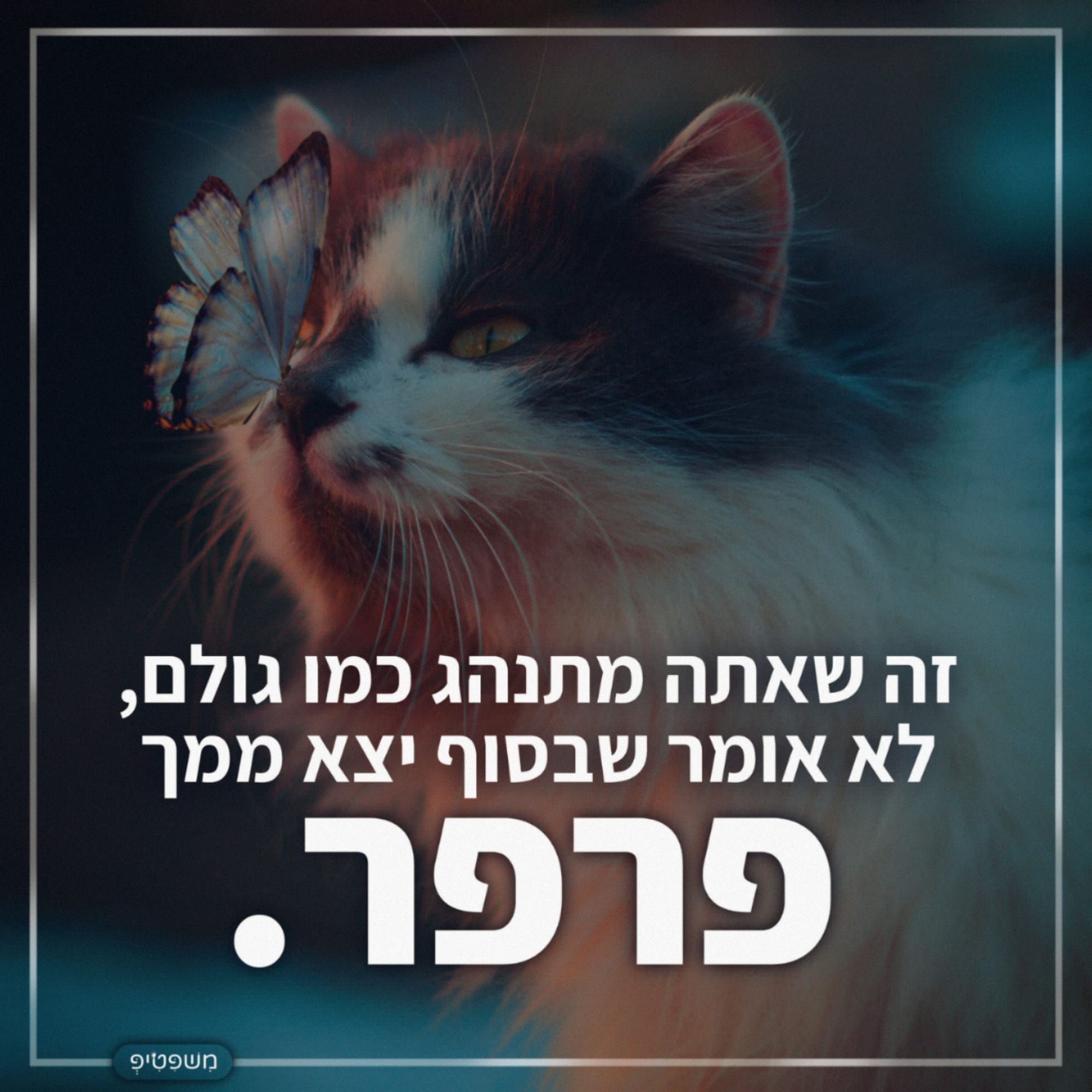 זה שאתה מתנהג כמו גולם, לא אומר שבסוף יצא ממך פרפר.