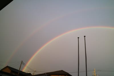 動画サンプル投稿