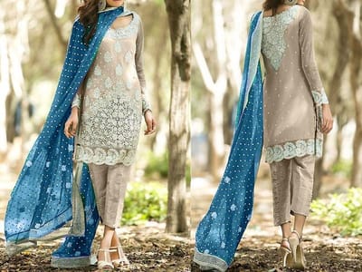 Latest Pakistani Chiffon Dresses for Ladies in 2020