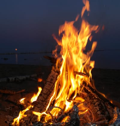 Den som har ärr har varit där