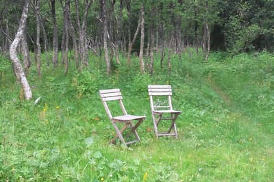 Om du vill kramas. Kom.