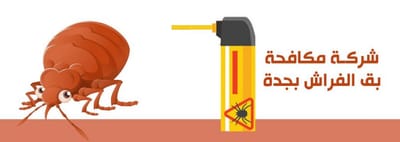 شركة مكافحة بق الفراش بجدة