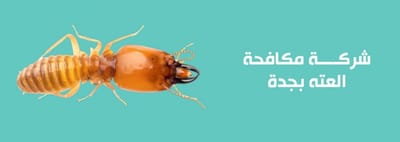 افضل شركة مكافحة العته بجدة و رش العتة بجدة