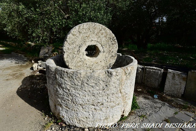 موقع سمار جبيل الأثري/د. خولا الخوري