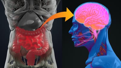 دراسة ولا أغرب.. علاج ألزهايمر