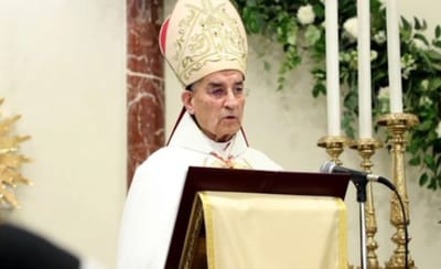 الراعي: معيب ان نسمع عن اسقاط قائد الجيش