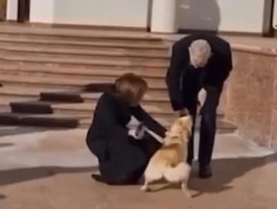 Moldovan President's Dog Bites Austrian President During Official Visit
