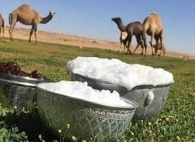 يحوي مركّبات متعدّدة.. حليب النّوق فوائد غنيّة لصحّة الإنسان