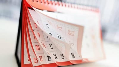 أجندة 1996 تحقق رواجاً عبر الإنترنت لتطابقها مع 2024