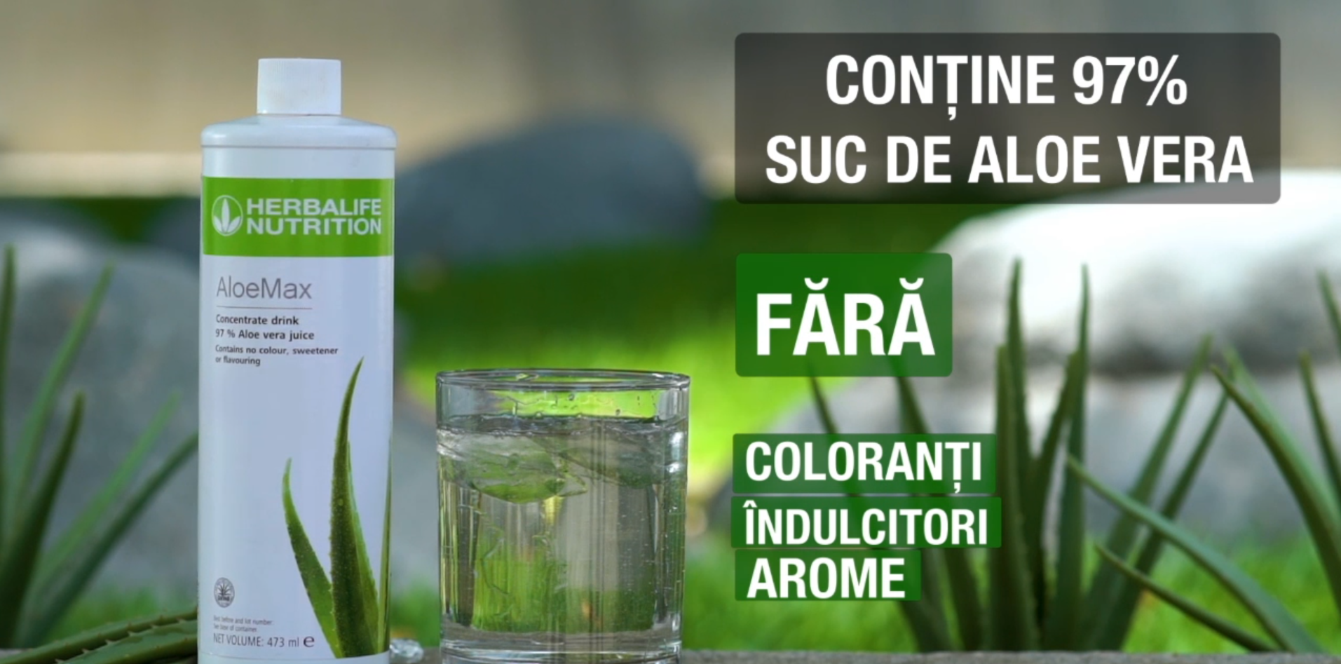 Descopera ALOE MAX - Stare de bine in fiecare zi