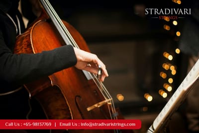 Eight things needed to excel in cello lessons