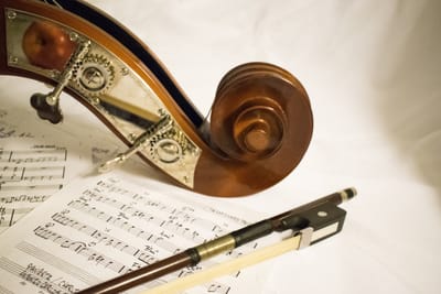 Things to consider while choosing a violin shop