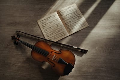 Why is a violin teacher a must for beginners?