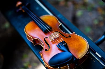 Things to consider while choosing a violin shop in Singapore