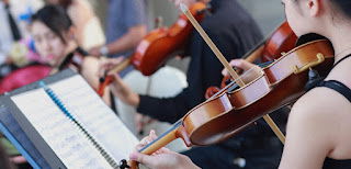 Things to know about violins before you start taking violin lessons