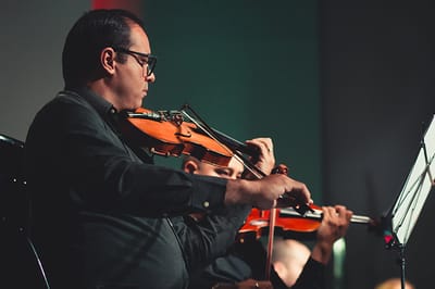How to choose an institution offering violin classes?