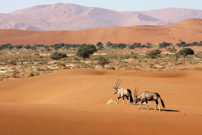 Hors de la Réunion - BWELANI T&E pour visiter la Namibie - Mon coup de cœur !!!